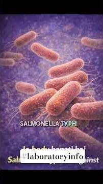 Widal टेस्ट शॉर्ट वीडियो में ही समझ लो । #lablife #widal #widaltest #laboratoryinfo