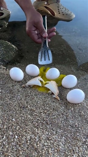 Omg😱alien crab has landed on earth now🦀🌎🤯 #Amazing #crabs #trending #earth