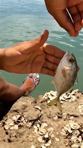 He didn't let the fish get away!!! Brutal Fisherman #fishing #fishingvideo #fishingtrip #fish