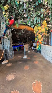 3.7K views · 57 reactions | Rainforest Cafe at Disney Springs | Disney World Packages -Orlando Florida | Facebook