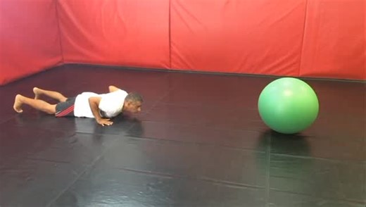 Master Alvaro Romano on Instagram: "Ginástica Natural Funcional Training"