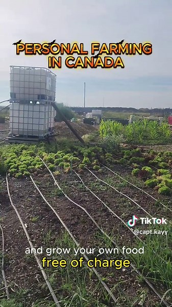 Explore Farm Life in Canada for Agricultural Enthusiasts