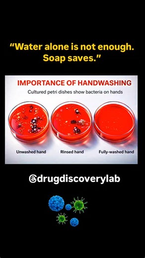 Drug Discovery on Instagram: "The figure clearly demonstrates how handwashing reduces microbial load on our hands. The three Petri dishes represent bacterial growth from an unwashed hand, a rinsed hand, and a fully washed hand. The unwashed hand shows dense and diverse bacterial colonies, indicating heavy contamination acquired through daily contact with surfaces. The rinsed hand shows a noticeable reduction in colonies, but many bacteria still remain, highlighting that rinsing with water alone