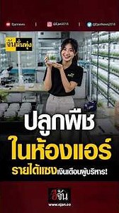 Indoor Farming! No Land or Sunlight Needed | Chan Lan Thung