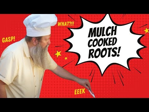 6 Different Types of MULCHES I Tested for No Matter Where You Live