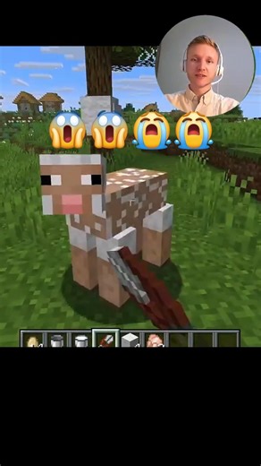 WHY IS THE SHEEP SCREAMING?! 😭🐑 #minecraft #english #funny