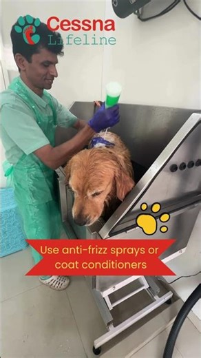 Humidity and grooming - what to keep in mind?