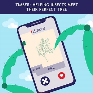 8K views · 20 reactions | How do insects know if they’re barking up...