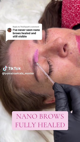 Healed Nano Brows Transformation for Perfect Eyebrows