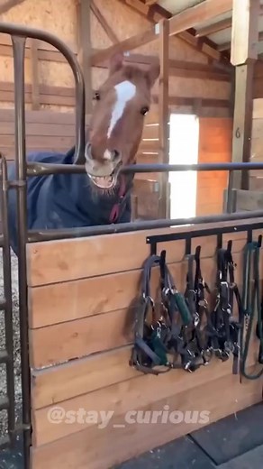 45K views · 341 reactions | Did you know about these?易⚡ #curiosity #facts #randomfacts #learnontiktok #factsyoudidntknow Follow me to be smarter than everyone  | Marvelous Fact | Facebook