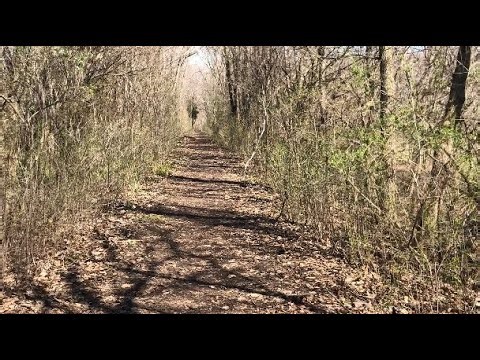 Exploration | dirt trial