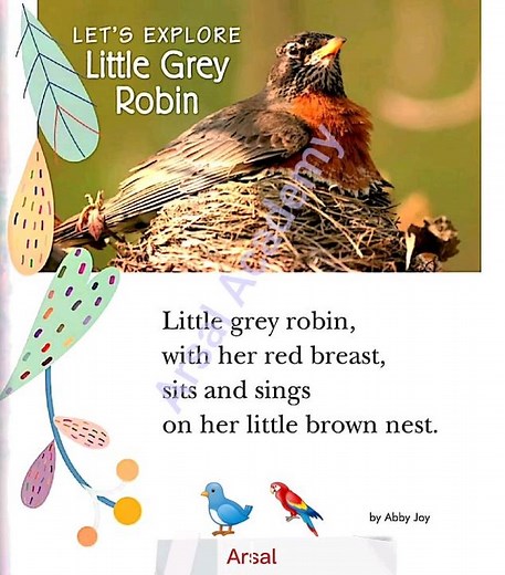 Little Grey Robin | Three blue eggs make the Robin so proud.... | Short Stories for kids