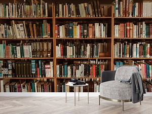 Bookshelf Wallpaper: 3D Library Wall Decor - Etsy Ireland