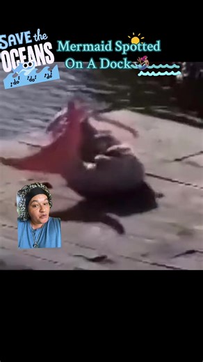 Strange marine creature was spotted on a dock many years ago. Before cgi was popular, before Ai took over social media. Could it be a mermaid??? Or something else…👀 #mermaid #mermaidsoftiktok #marinelife #creature #strangecreature