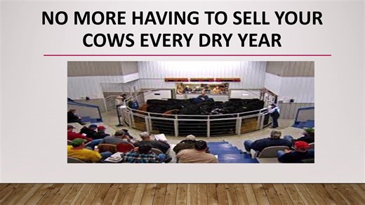 Level up with an EZ Ration Processor Info and pricing at www.ezration.com or call 800 242 9599 | EZ Ration Hay Processors / RCMR Inc.