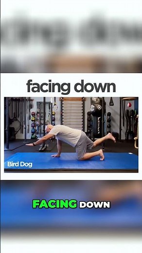 Dead Bug for Beginners | Build Real Core Control #mobility #coreconcepts #coreworkout #corestrength