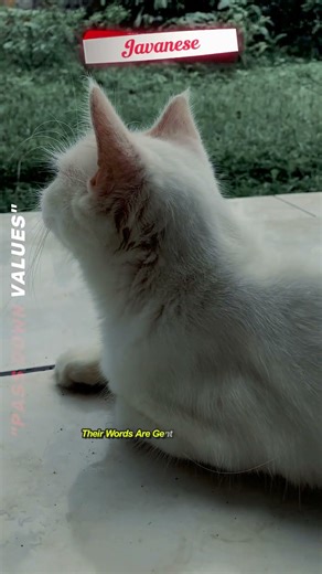 PASS DOWN VALUES #shorts