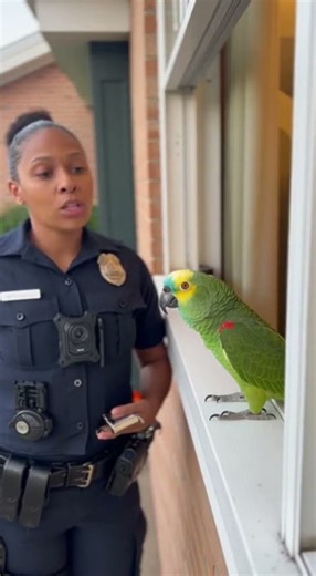 “Ele apontou… o papagaio se DEFENDEU 😂🦜👶👉”TAGS:#papagaio #bebê #videorealista #sora2 #humor