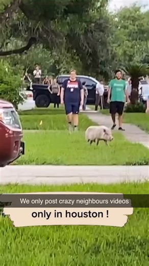 Crazy Neighbors on Instagram: "Ever had that one neighbor who’s just a little too extra? 😅 From loud parties to bizarre pranks, these wild moments make life way more interesting! 🤪 Tag your neighbor and let them know they’re part of the chaos. 😂 #CrazyNeighbors #NeighborhoodDrama #NeighborGoals #LifeWithNeighbors #EpicNeighbors #FunnyNeighbors #LOL #ViralMoments #UnbelievableNeighbors #GoodTimes #NeighborsBeLike #ComedyGold #ReelLife #Instagood #ViralReels #neighborsfromhell"