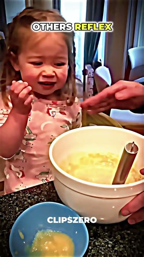 No reflex VS Best Reflex in the world