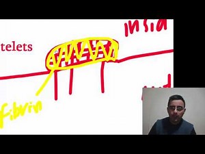 Hemostasis mechanism - how to bleeding stops. Explained simply