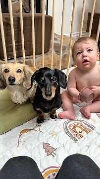 Ready to see our “trio” Halloween costume?! 😆🐿️