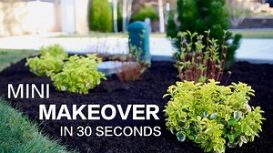 I wish projects would go this fast in real life!!! 󾌲󾌴 | Garden Answer