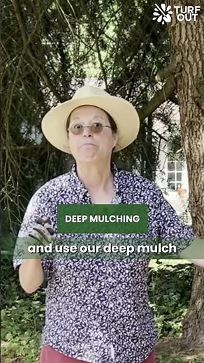 Turf Out Lawn Removal Series #6