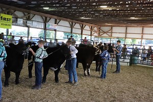 Ohio County 4-H
