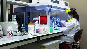 2.6K views · 11 shares | WATCH: The Saskatchewan government says a testing issue resulted in a large number of false-positive COVID-19 tests at several long-term care homes in Regina — via Taz Dhaliwal. READ MORE: https://globalnews.ca/news/8137567/covid-19-regina-long-term-care-homes-covid-19-saskatchewan/ | Global Regina | Facebook