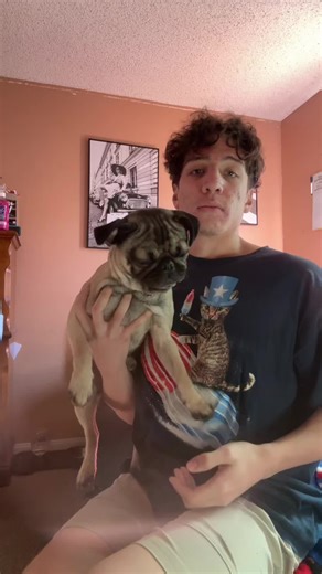 Pugs are so damn awesome I love them even tho they ugly #pug