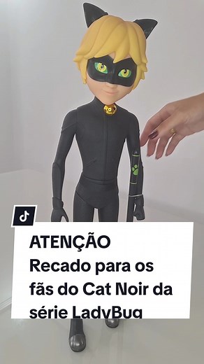 Boneco Cat Noir: Aventura e Diversão Garantidas!
