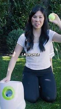 Testing an Automatic Ball Launcher for Dogs!