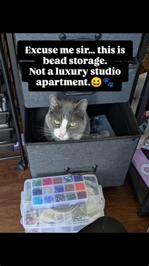 Just a normal day running BeYoudiful Creations… Organizing beads ✔️ Prepping for upcoming pieces ✔️ Evicting Loki from the bead drawer ❌ #CreativeStudio #MakerLife #BeYoudifulCreations #CatSupervisor #HandmadeBusiness | BeYoudiful Creations