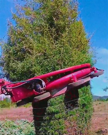 1M views · 1.3K reactions | Wrap up your holiday tree just like that! | Make-Up & Hair Tutorials | Facebook