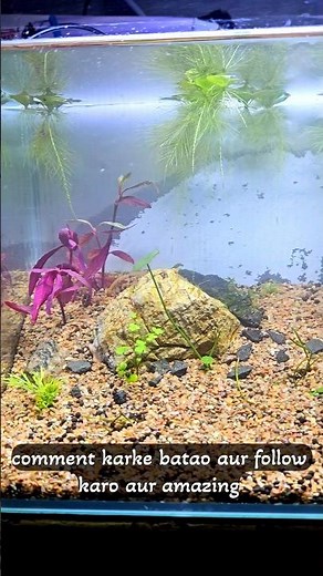 How to Set Up an Aquarium for Beginners 🐠 Step-by-Step Guide #aquascape #aquascapelowtech #aquascape