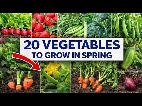20 Vegetables You Should Grow in Spring