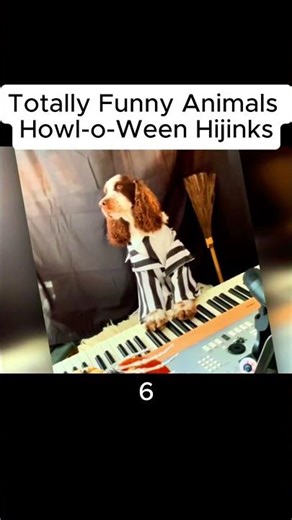 Totally Funny Animals - Howl-o-Ween Hijinks P6