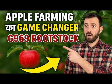 “Apple Farming में क्रांति 🌍 | G969 Rootstock क्यों है No.1 Choice?”