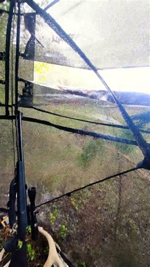 testing out the Thompson omega