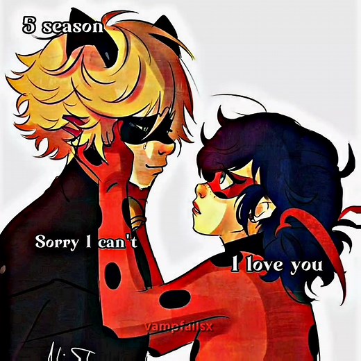 Ladybug and Cat Noir Version