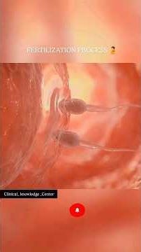 🧬 The miracle of life begins with a single fertilized cell #fertilization #pregnancyjourney #shorts