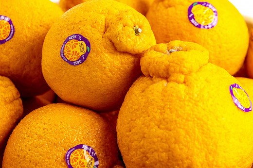 Meet Sumo Citrus the Short-Lived Fruit Celebrities and Chefs Swear By