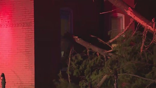 Storm damage reported in Belleville, Ill.