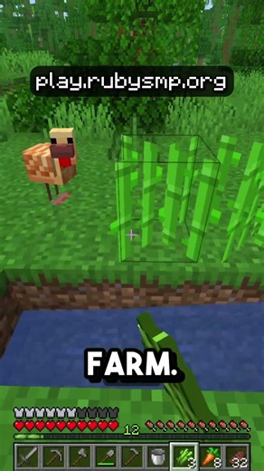 How to get started on the Public Lifesteal SMP! (Cracked Supported!)