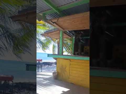 Donate to Save The Godfather Beach Bar St Kitts, organized by John Francis