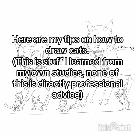My tips on how to draw cats #warriorcats #warriorcatsbook #oc #drawing