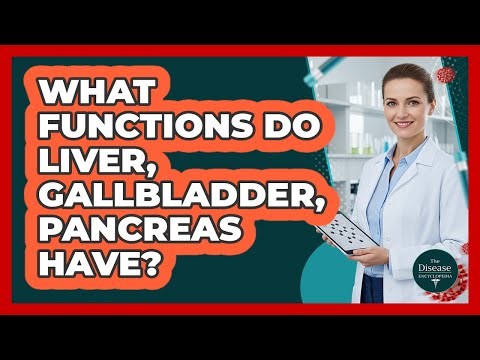 What Functions Do Liver, Gallbladder, Pancreas Have?