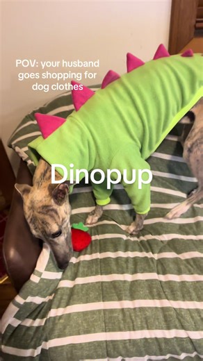 Whimsical Dog Costumes: A Guide for Dino Lovers