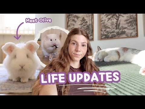 A Much Needed Life Update + Meet Olive 🐰